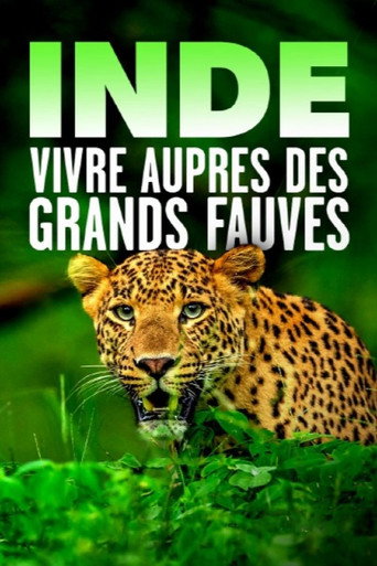 Regarder Inde - Vivre auprès des grands fauves en streaming complet