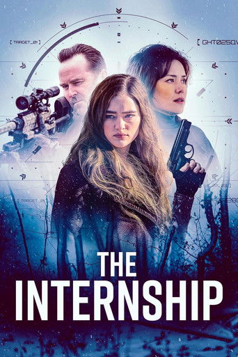 Regarder The Internship en streaming complet