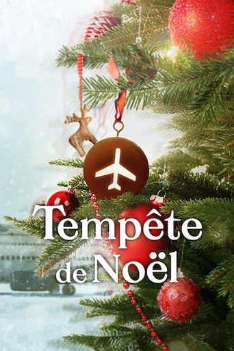 Regarder Tempête de Noël en streaming complet