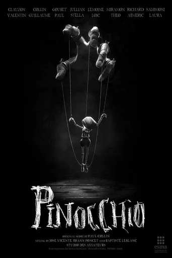 Regarder Pinocchio en streaming complet